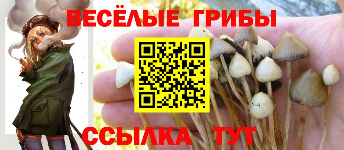 Псилоцибиновые грибы мицелий Симферополь