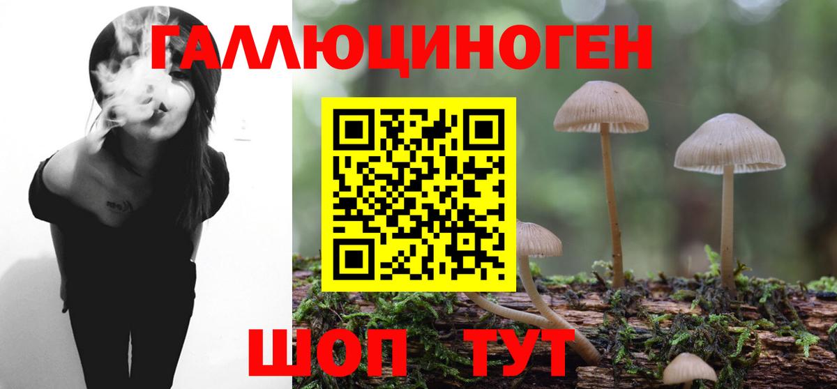 Симферополь  Псилоцибиновые грибы Magic Shrooms  Вход с VPN 